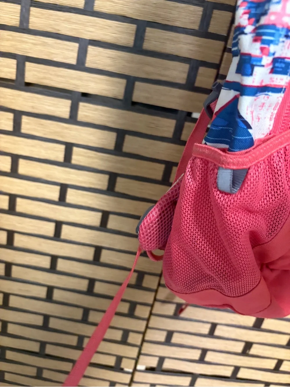 The North Face Coral And Blue Jester Backpack